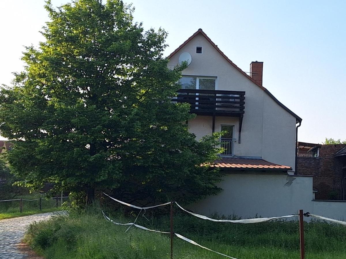 Ferienhaus Herztor Bad Bibra Exteriör bild